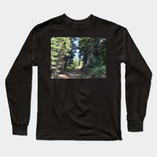 Trail up the Mountain Long Sleeve T-Shirt